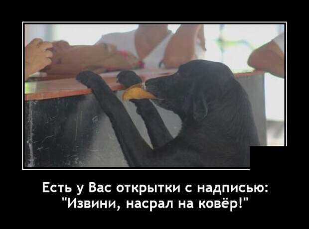 Демотиваторы 1 ноября 2021 года