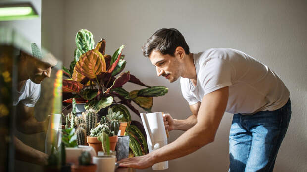 Врач рассказал о вреде резких колебаний влажности воздуха в жилых комнатах