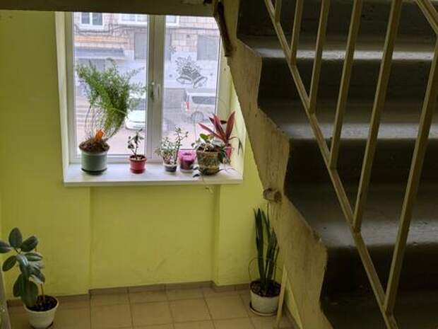 Бардак в подъезде обойдется УК в копейку: депутат Госдумы рассказал, как заставить управляющую компанию вернуть деньги за грязные полы и разбитые лампочки