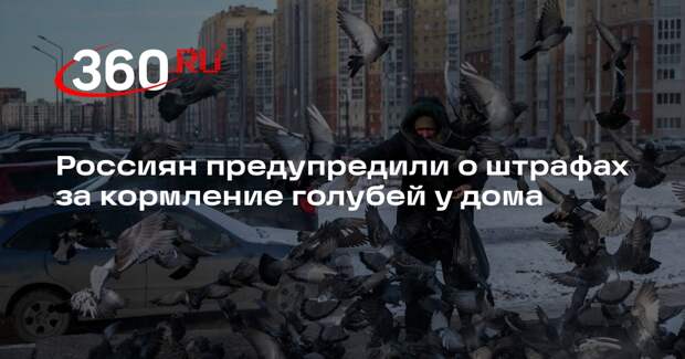 Юрист Ошкина: кормление голубей может обернуться штрафом в 3 тысячи рублей