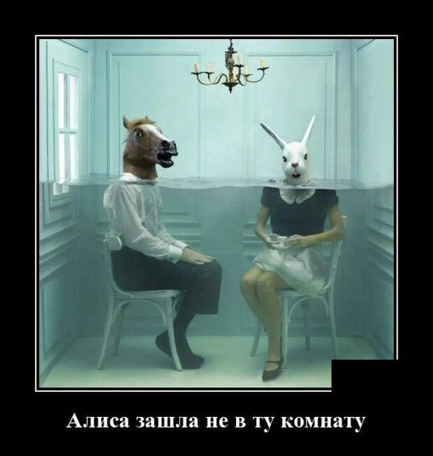 demotivatory-demotivator-smeshnye-demotivatory-demotivator-so-smyslom
