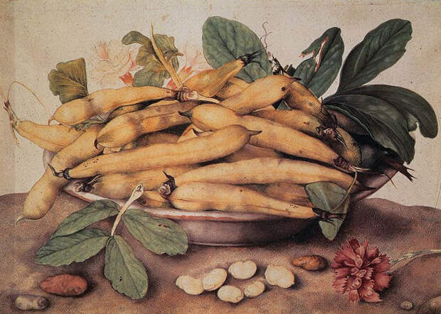 Блюдо с бобами. Блюдо с бобами.