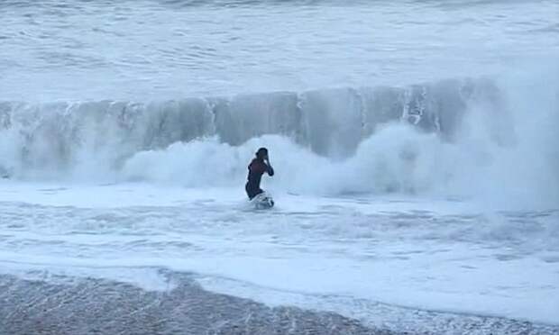 Владелице собаки повезло что она осталась жива, когда прыгнула в море чтобы спасти её