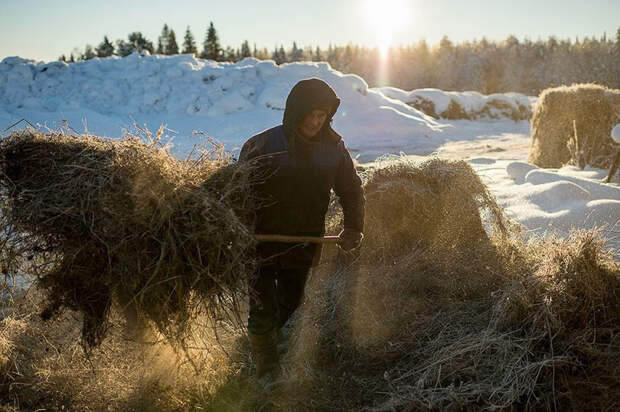 Derevnya-Bobrovka-v-fotografiyah-Alekseya-Malgavko 26