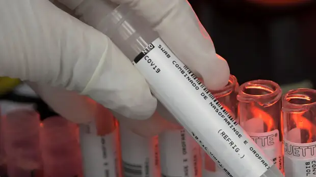 В Бразилии за сутки зафиксировали более 38 тысяч случаев коронавируса