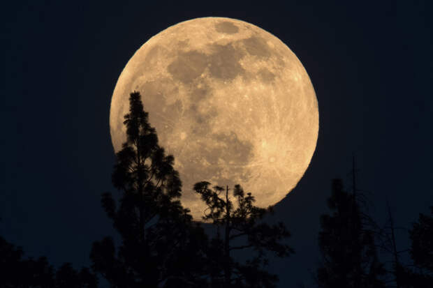 Глава "Роскосмоса" Баканов: все технологии по Марсу будут отработаны на Луне