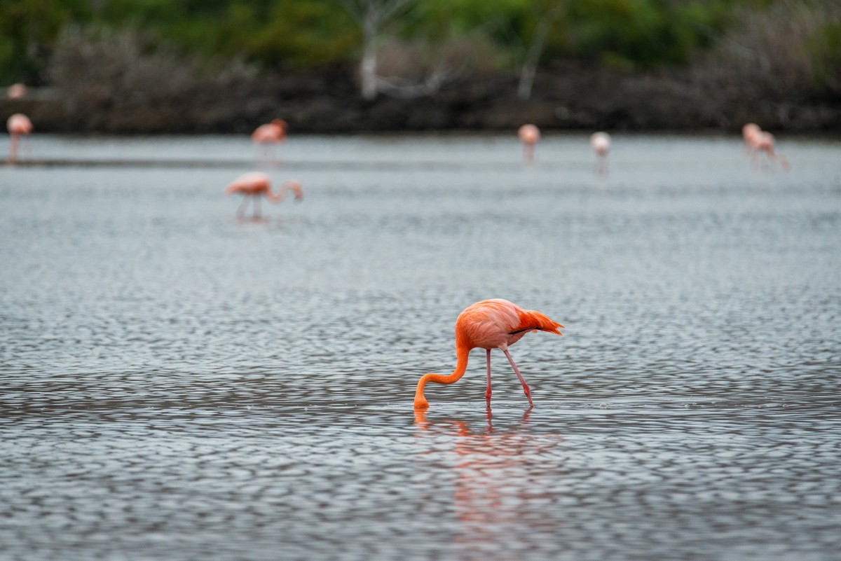 DSC_6149 DSC_6149