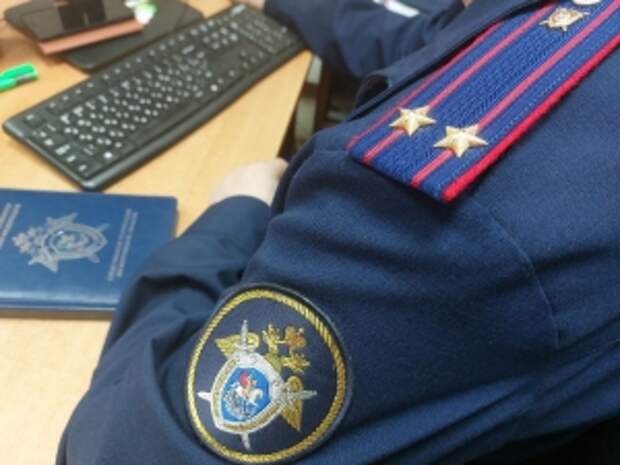 Главе ведомства представят доклад о расследовании уголовного дела по факту убийства местного жителя в Ставропольском крае