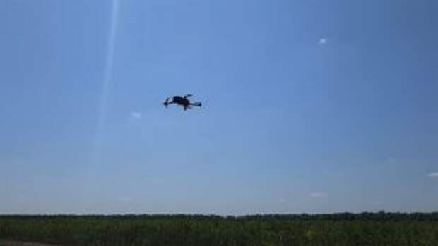 Карасин: Швеция хочет вернуть ситуацию в Балтийском море к допетровским временам