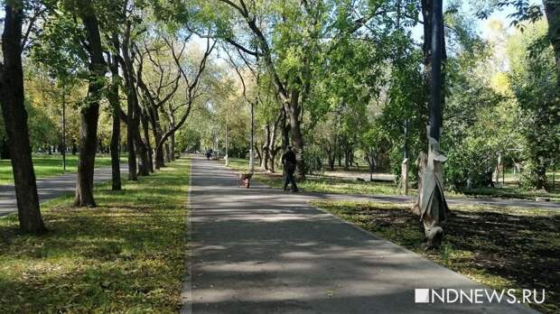 Начался сбор предложений по благоустройству парков и скверов