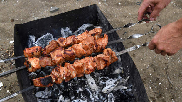 Шашлыки на даче: как не наткнуться на штрафы и уголовную ответственность