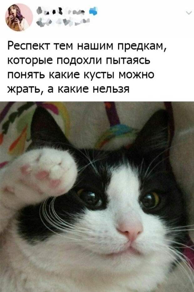 Прикольные картинки абавсём:D
