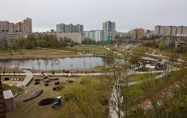 Более 200 тысяч петербуржцев поучаствовали в общегородском субботнике