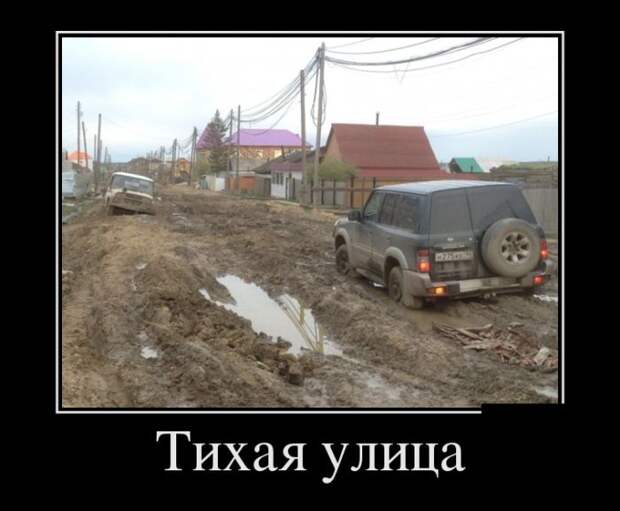 Позитивные и прикольные демотиваторы для ценителей жанра (11 фото)
