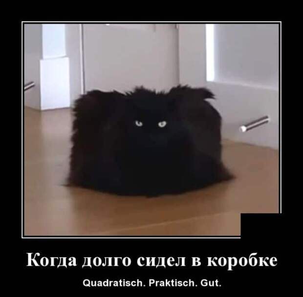 demotivatory-demotivator-smeshnye-demotivatory-demotivator-so-smyslom