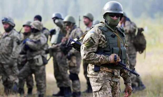 В России раскрыли план Украины по зачистке Донбасса | Русская весна