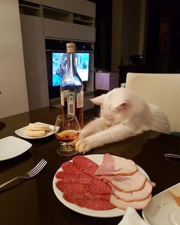 Пятничный алкоюмор Пятничный алкоюмор