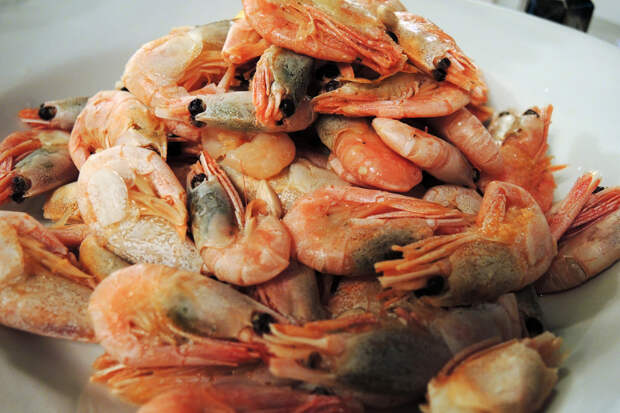 Стало известно, какие продукты Гренландия экспортирует в Россию