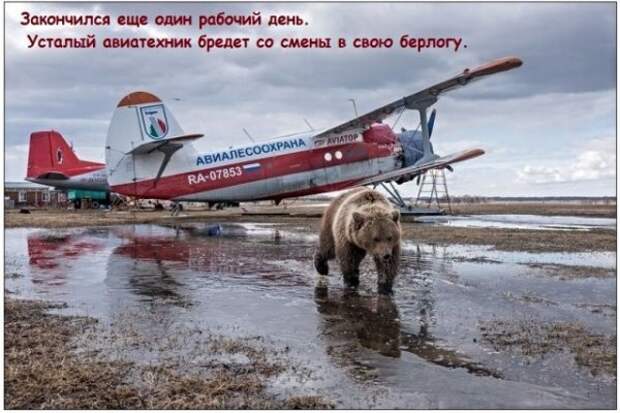 Картинки с надписями, истории и анекдоты