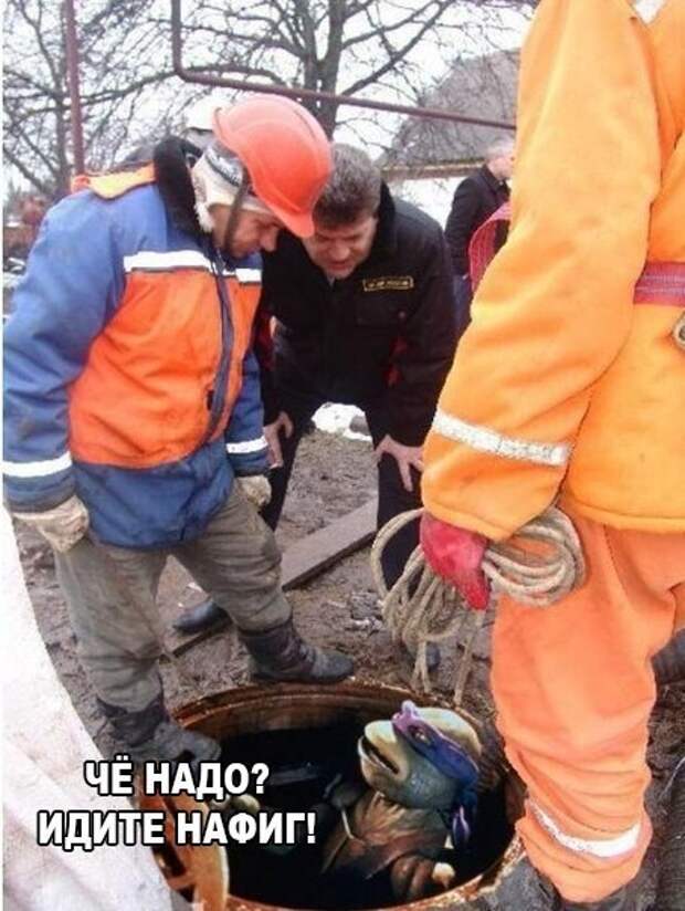www.vsyako.net