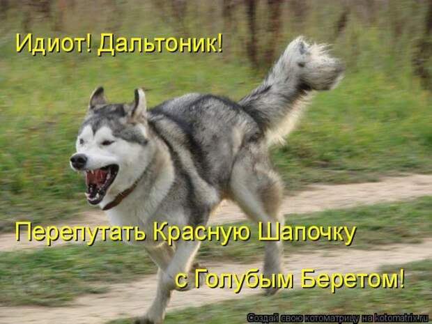 Мысли вслух :)