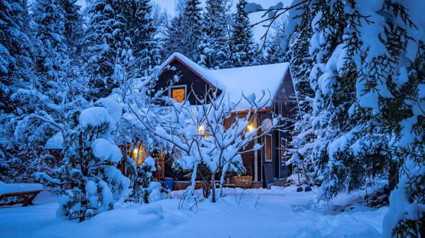 Мошенники могут похищать деньги россиян под видом дачных взносов