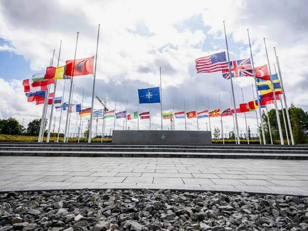 Надо проверить 5 статью и призвать НАТО к южной границе – Трамп троллит в Давосе