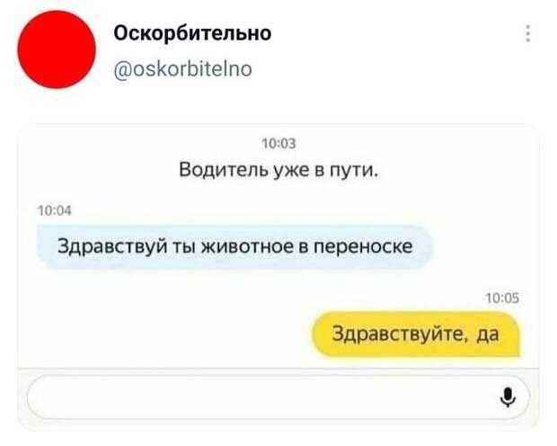 Подборка забавных твитов обо всем