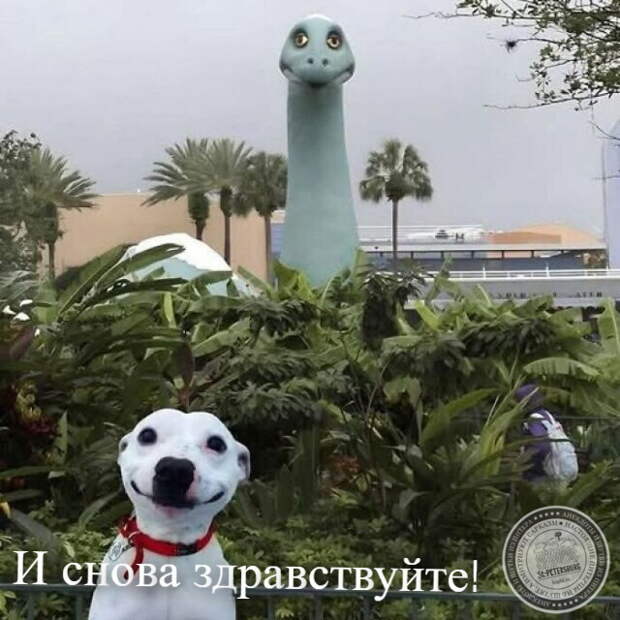 Здравствуйте