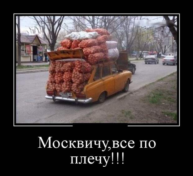 Демотиваторы (30 фото)