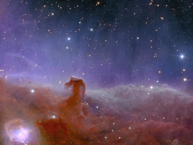 Космический телескоп «Евклид» сделал уникальные кадры 100 000 галактик в 240 млн световых лет от Земли (ФОТО)