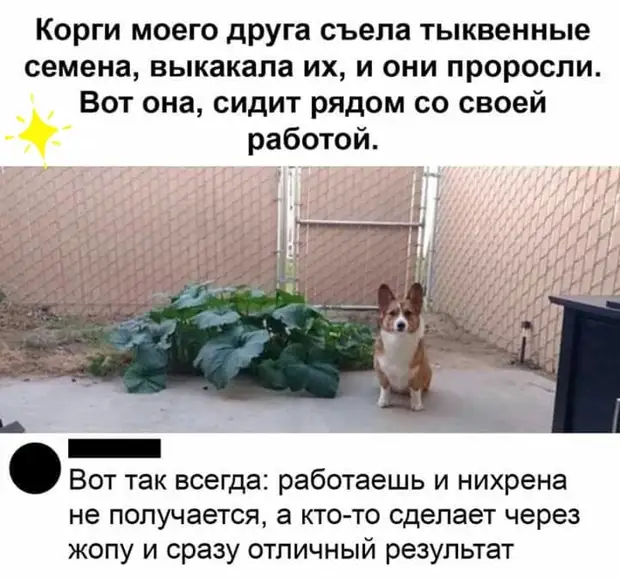 Люблю смотреть индийские фильмы про Вторую мировую войну. Особенно когда Гитлер поет и танцует Люблю смотреть индийские фильмы про Вторую мировую войну. Особенно когда Гитлер поет и танцует любовью, занимается, когда, женщин, через, актив, мужчины, мужчина, Почему, кредитная, всегда, помнить, собой, карточку, посмотреть, повторить, карточкаВ, пивбаре, видел, трудно