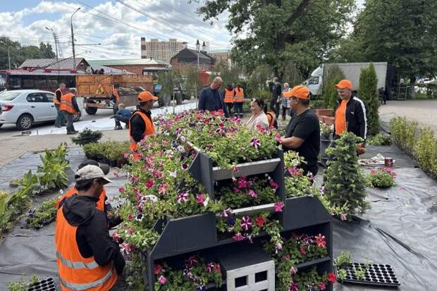 На перекрестке проспекта Ленина и улицы Жаворонкова в Туле появится зеленая зона