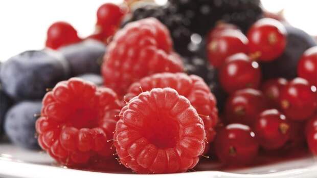 Такая хурма: какие ягоды надо есть осенью для поддержания иммунитета