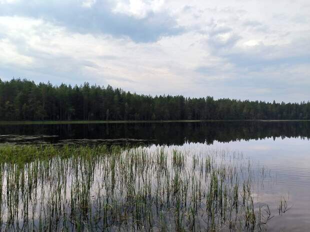 Российский штурмовик полчаса провел под водой и выжил под обстрелом ВСУ