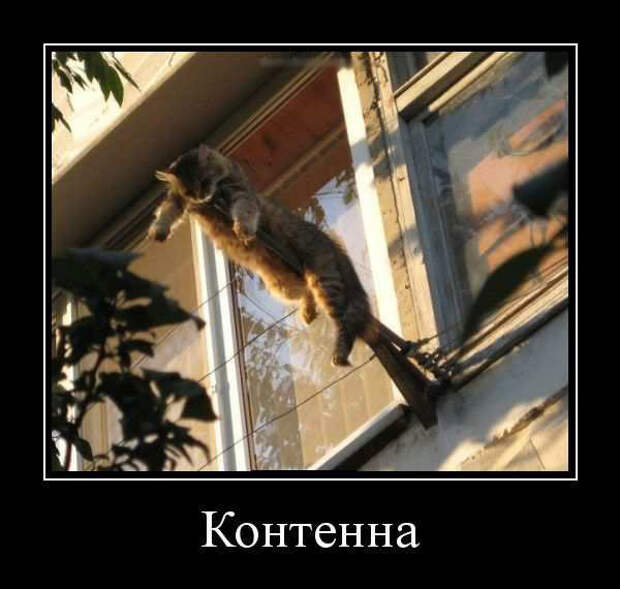 Демотиваторы – приколы: «Контенна» (14 фото)