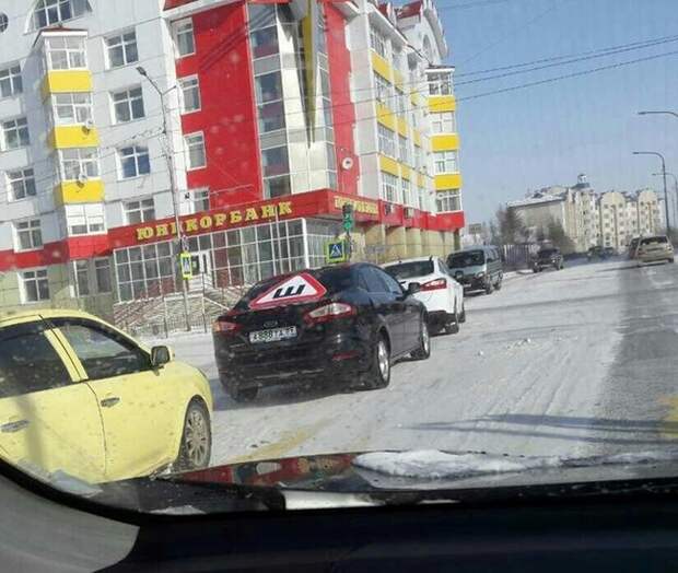 Прикольные картинки и веселые фото приколы (12 фото)
