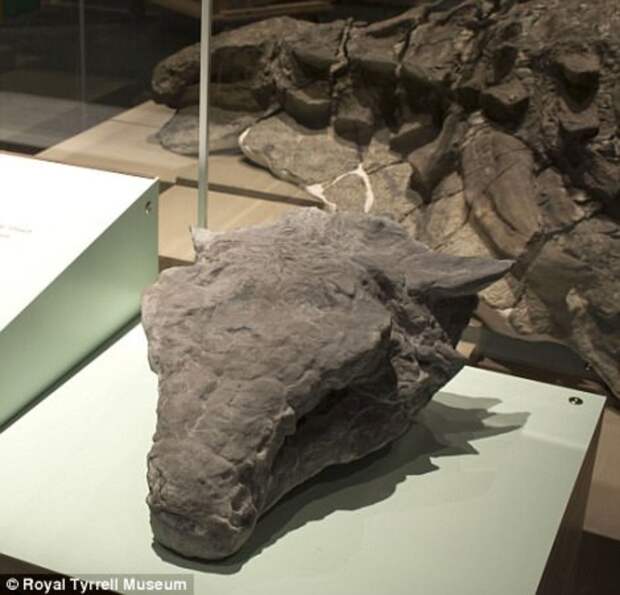 Эта 110-миллионолетняя окаменелость динозавра выглядит как статуя динозавр, статуя