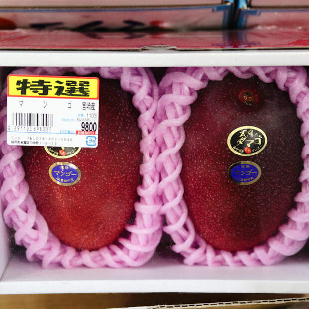 Egg of the Sun mangoes (price in yen).