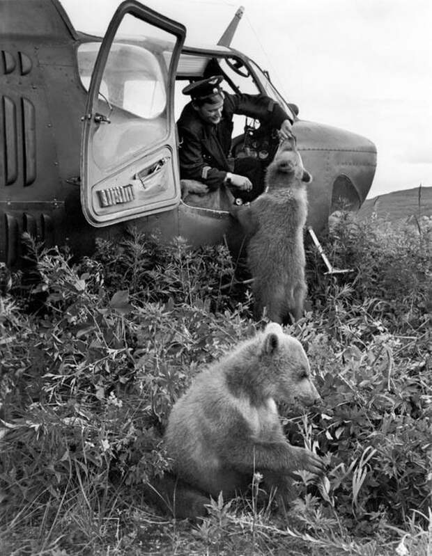 Архивные фотографии Архивные фотографии история, ссср, факты
