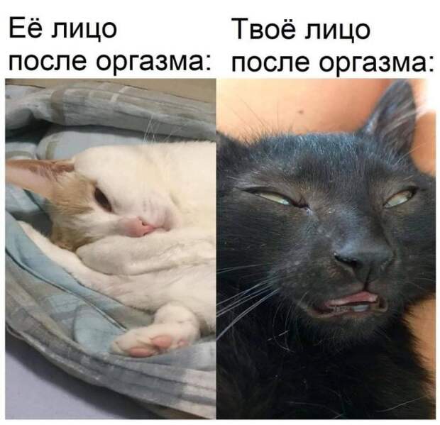 Мемы и приколы про &quot;это&quot;