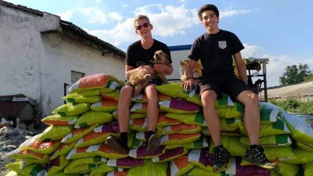В Румынии парень бесплатно возит в местный приют для собак пакеты с кормом