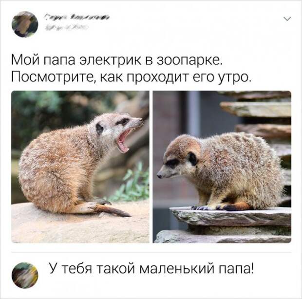 www.vsyako.net