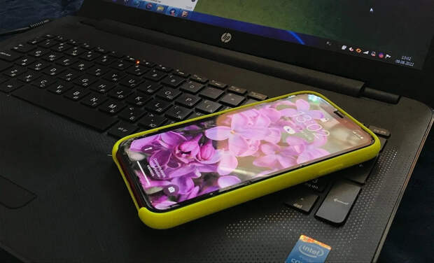 ЖКХ и онлайн-шоппинг: названы самые распространённые схемы мошенников