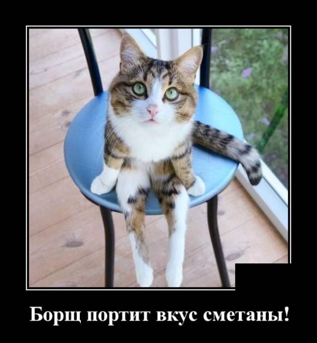 Демотиваторы смешные