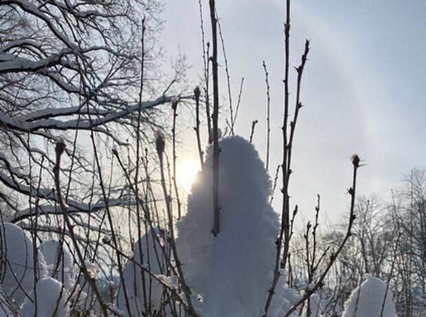 В Ясной Поляне туляки сфотографировали солнечное гало