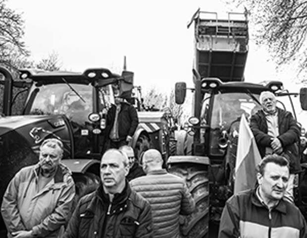 Польских крестьян разоряют украинские конкуренты
