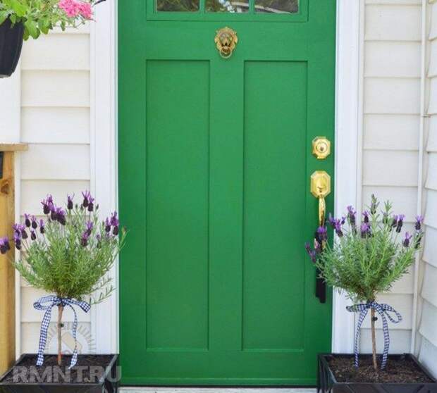 зелёная дверь