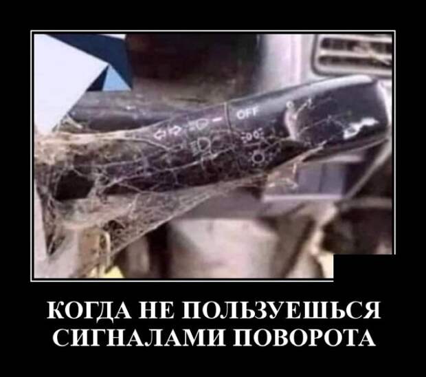 Демотиваторы (20 фото)