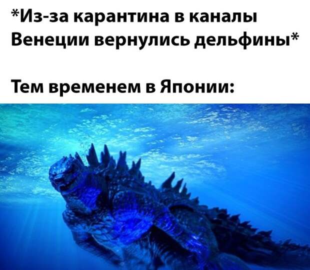 www.vsyako.net